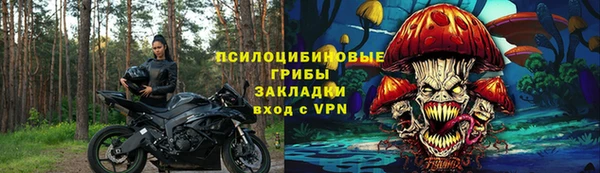 СК Аркадак