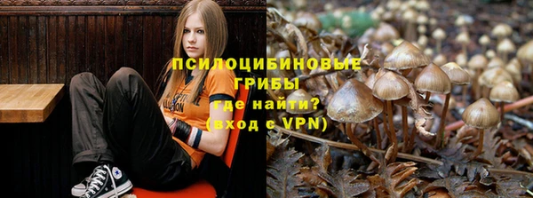 МДПВ Арсеньев