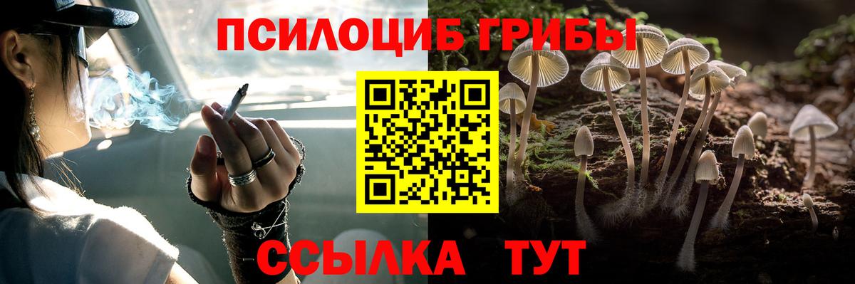Конаково  Псилоцибиновые грибы MAGIC MUSHROOMS  купить наркоту  Вход с VPN 