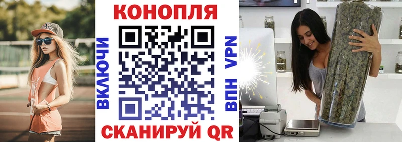 Бошки марихуана VHQ  omg онион  Конаково 